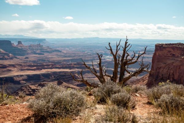 view of dead horse point state park canyon in Utah 