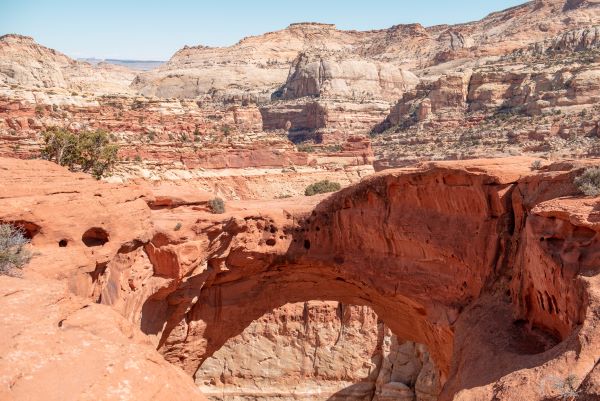 cassidy arch, a trail to an arch in Capitol Reef National Park