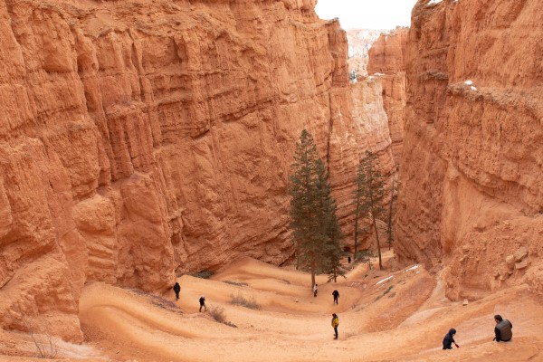 switchbacks on Navajo Loop Trail in Bryce