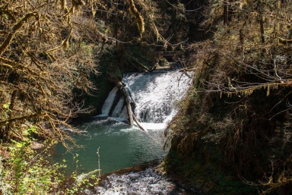 Lower North Waterfall in Silver Falls in Oregon