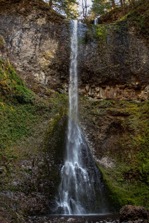 Double Falls in Silver Falls State Park