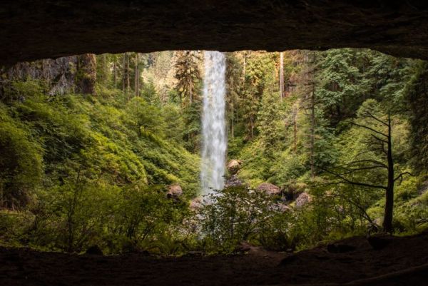 North Falls State Park view from behind waterfall