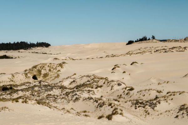 the oregon dunes on the coast