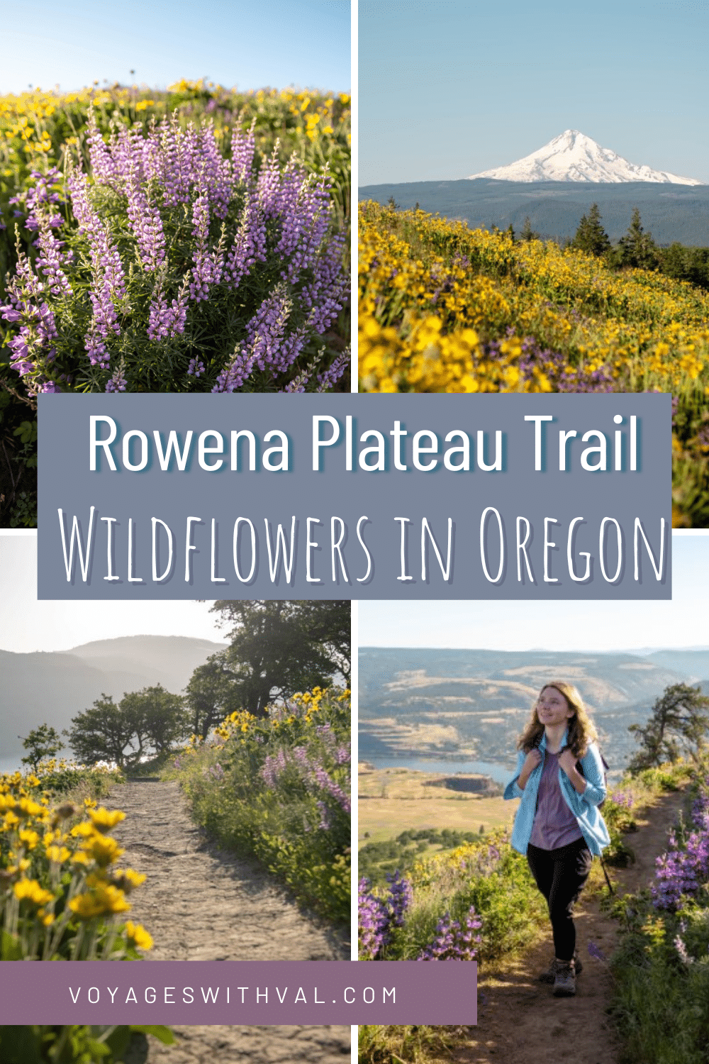 Rowena Plateau Trail- Wildflowers in Oregon, lupine, mount hood, wildflower lined trail and girl hiking in wildflowers