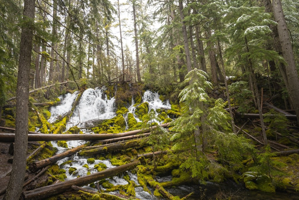 Clearwater Falls at the end of the Highway of Waterfalls in Oregon