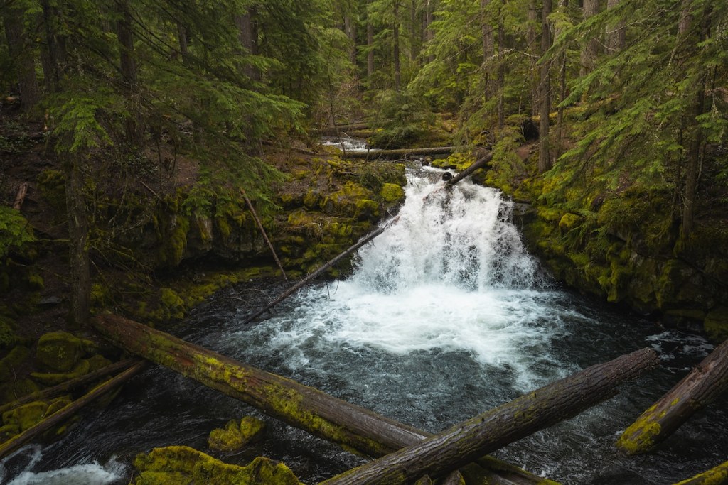 Whitehorse Falls viewed from the viewing platform in Oregon