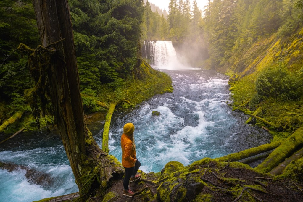 girl in yellow jacket looking at Koosah Falls on the bright blue McKenzie River