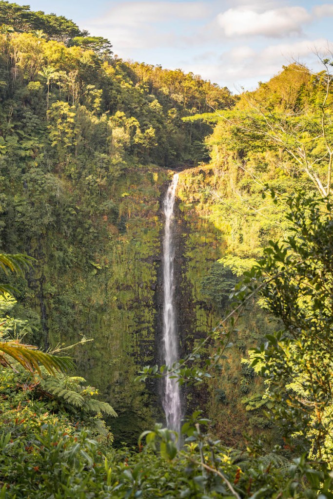 Akaka Falls viewed from the trail