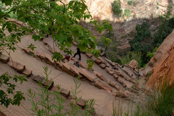 Walter's Wiggles, switchbacks in Angels Landing