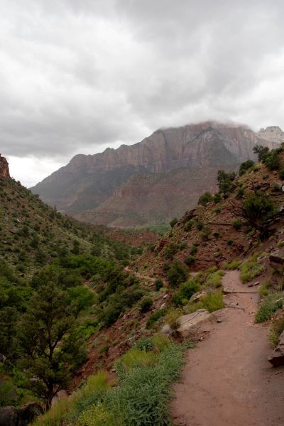 view from Watchman Trail in Zion National Park