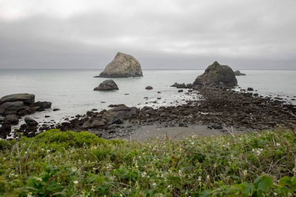 The view from Hidden Beach and False Klamath Rock Trail visible if you spend one day in Redwoods National Park