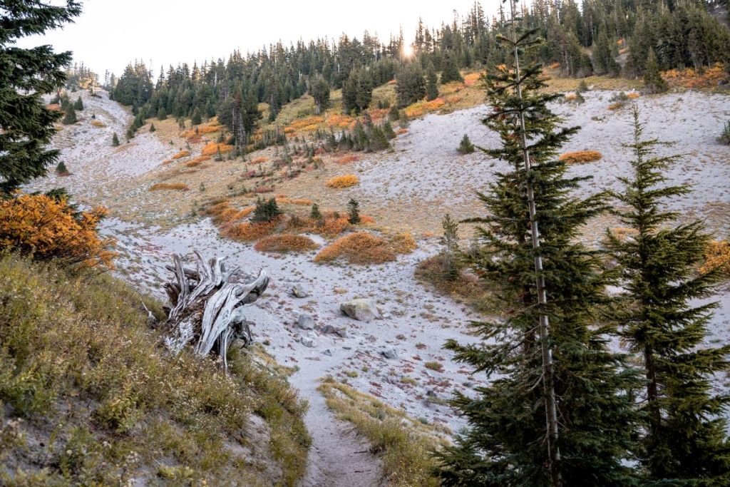 Fall colors in mount hood