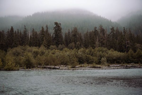 the Hoh River on a misty morning in the Hoh Rainforest