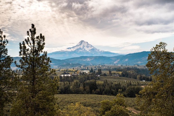 view from panorama point in hood river  on day trip from Portland