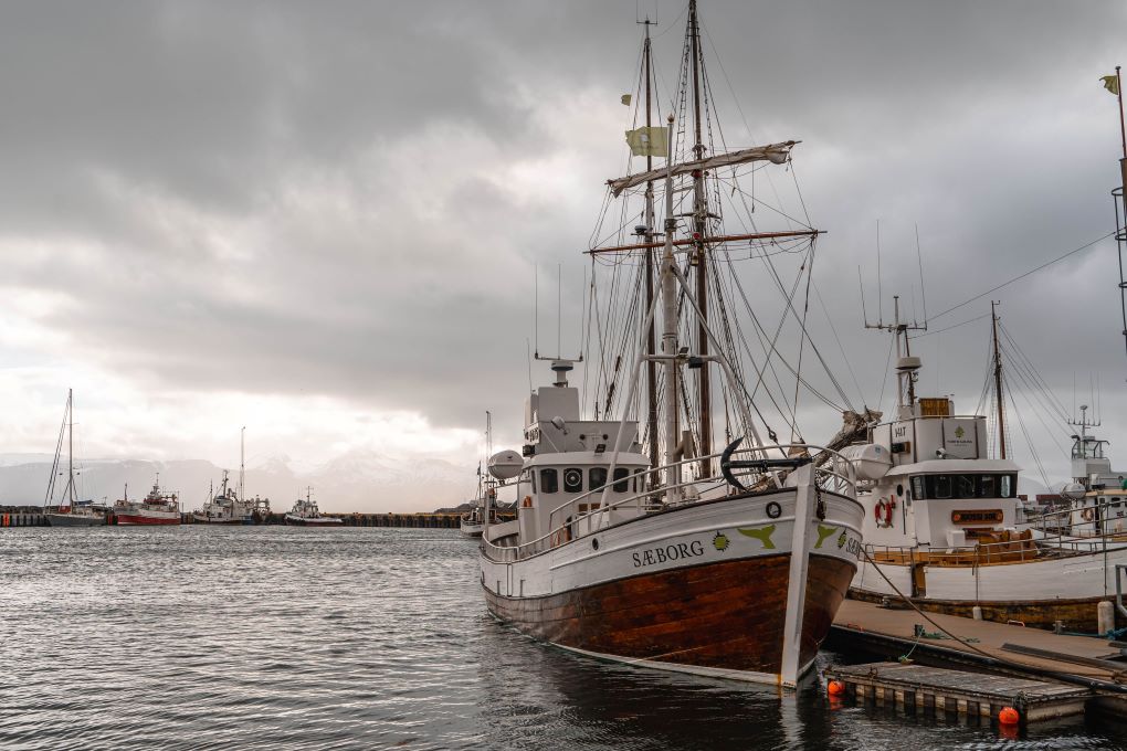 husavik boats on the dock