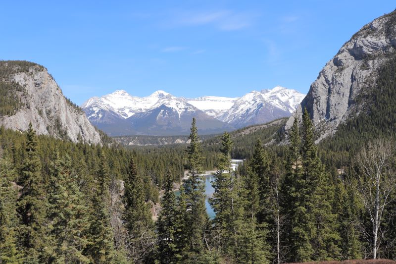 blue river winding though pine tree in the Canadian Mountains