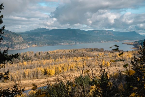 View of the Columbia River Gorge in the fall with orange trees