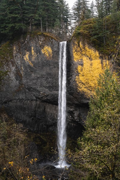 Latourell Falls, waterfall in the Columbia River Gorge in Fall