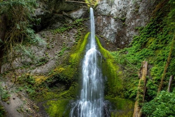 Marymere waterfalls in the Olympic Peninsula in Washington