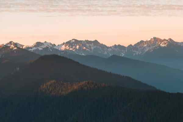 Olympic mountain range at sunrise on Hurricane Ridge