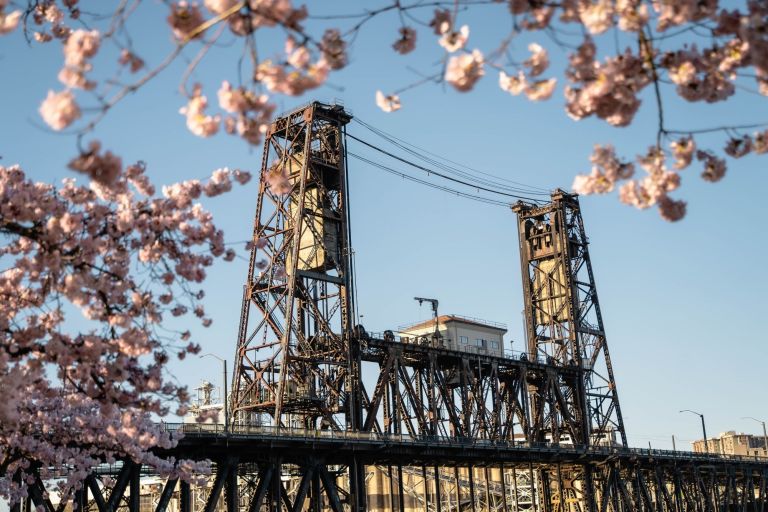 Where to See Cherry Blossoms in Portland (& Other Spring Flowers)