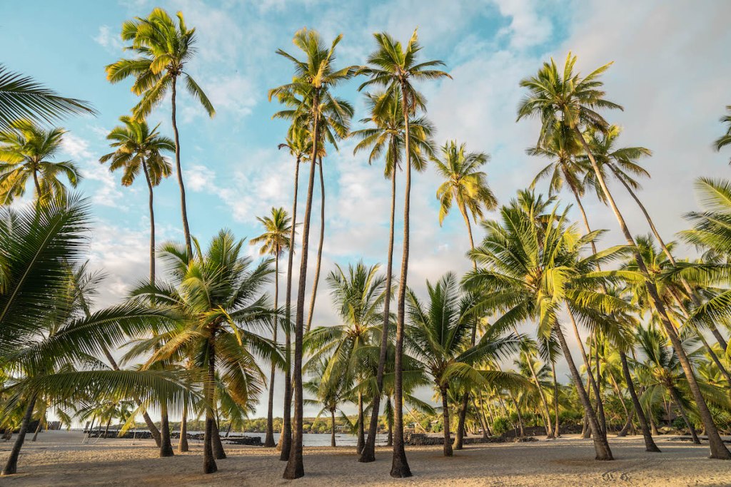 Pu'uhonua O Honaunau National Historical Monument