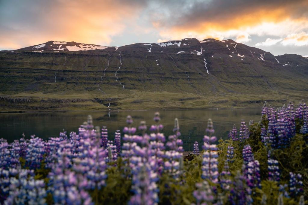 Iceland ring road itinerary in 7 days under the midnight sun