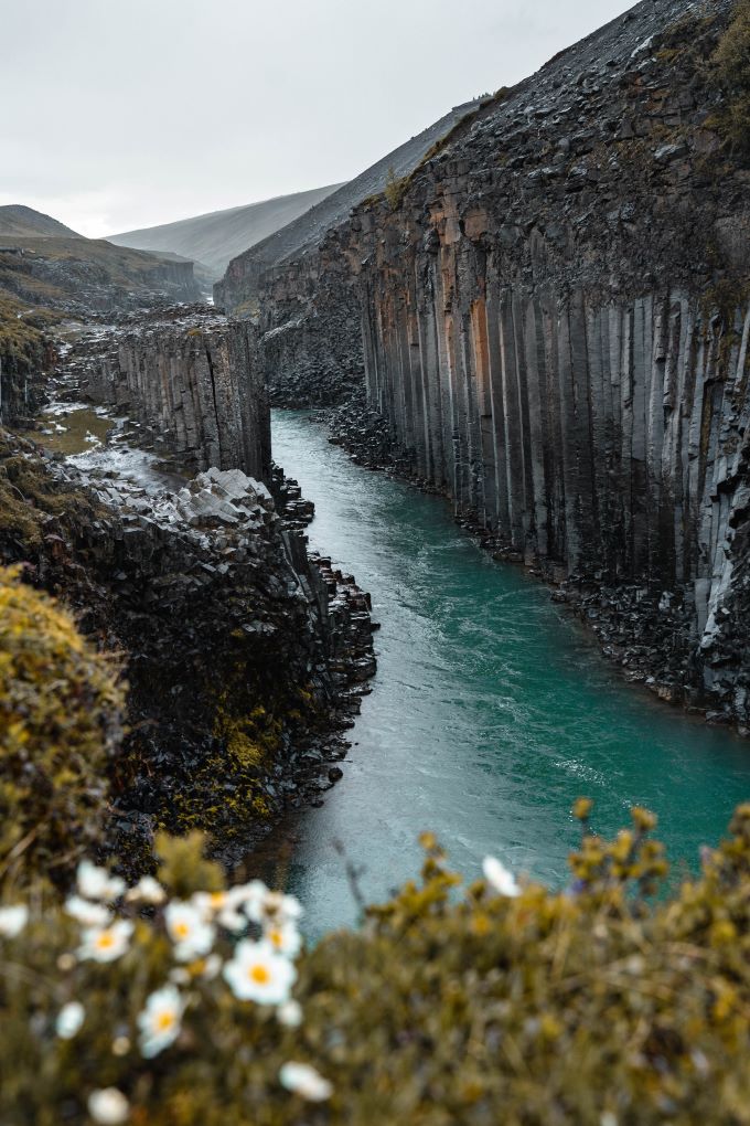 view from the East Side of Stuðlagil Canyon with small white flowers and bright blue water in black canyon