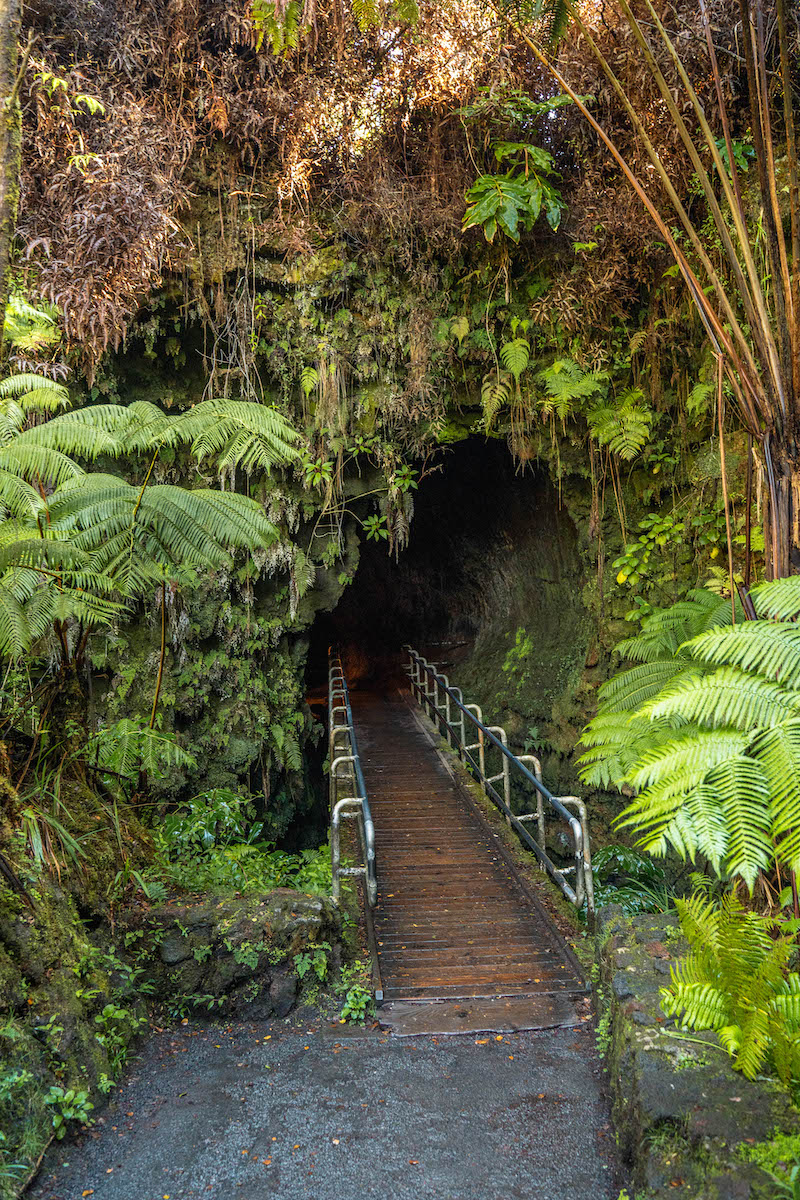 entrance to Thurston Lava Tubes