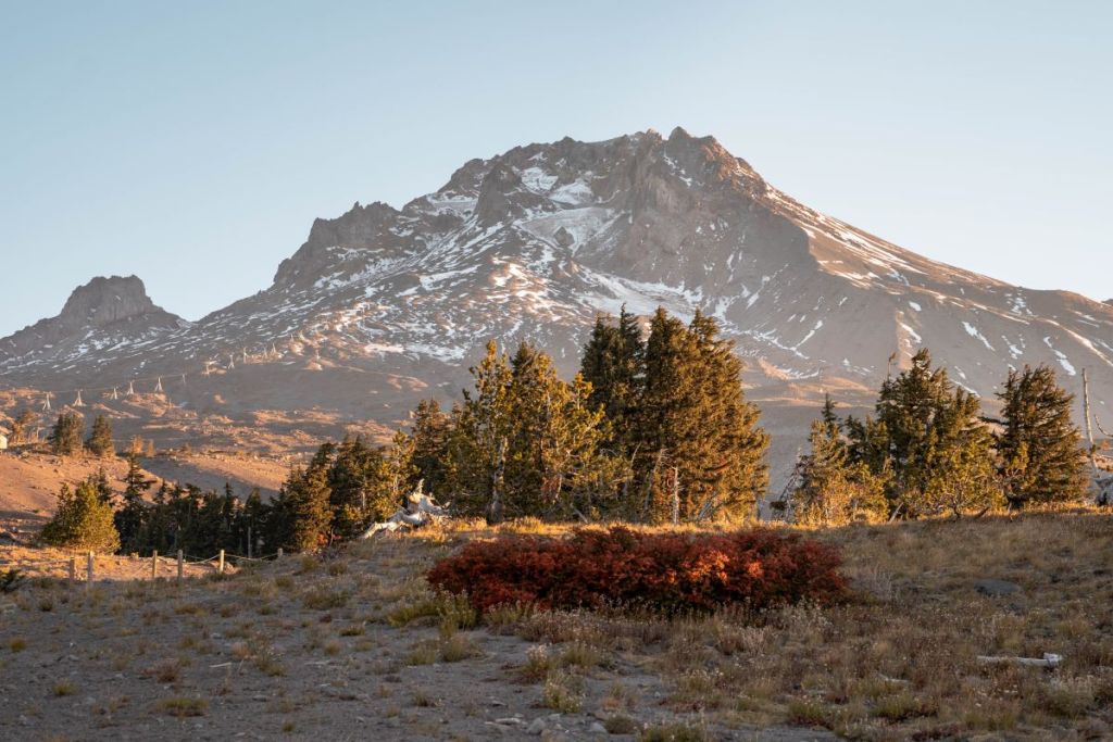 Timberline Trail view of Mount Hood at sunrise