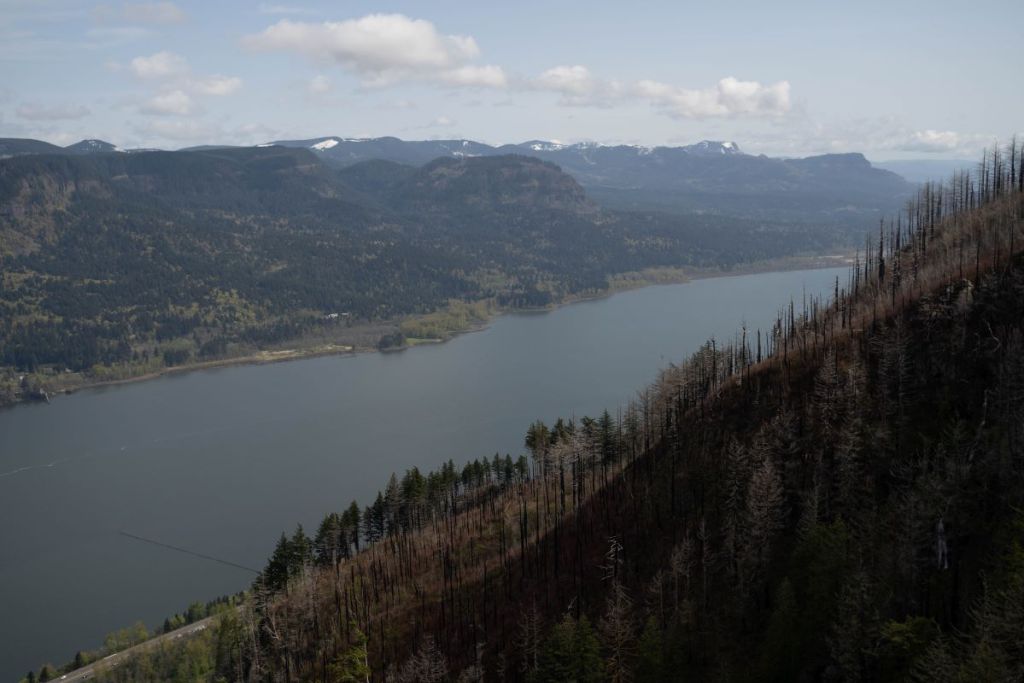 view from angels rest of the Columbia river gorge