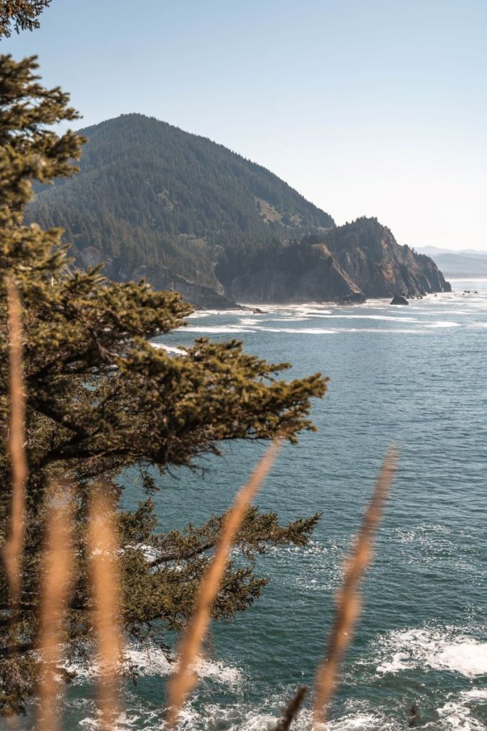 view from Cape Falcon Trail in Oswald West State Park