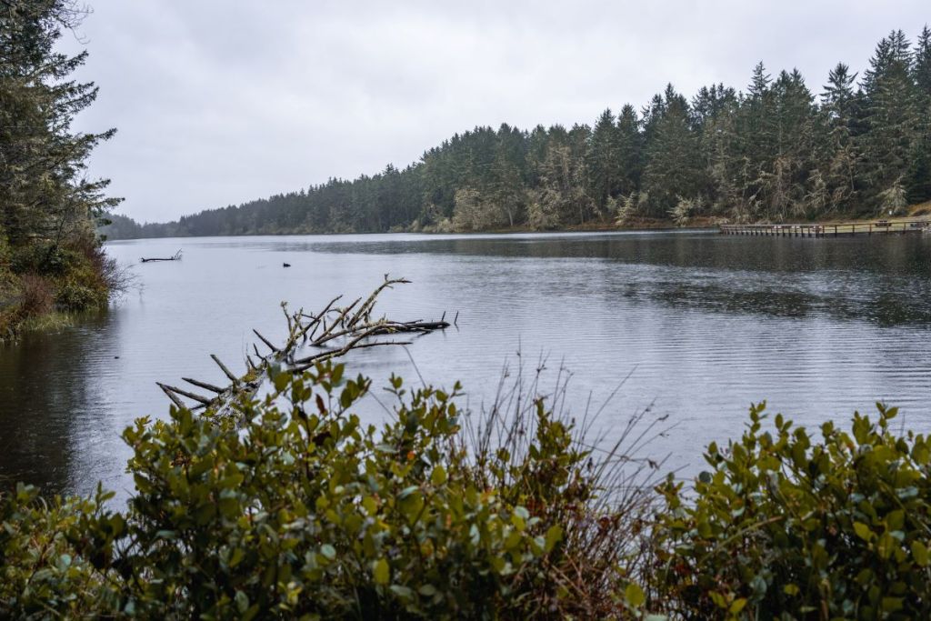 view of coffenbury lake from trail in lewis and clark state park