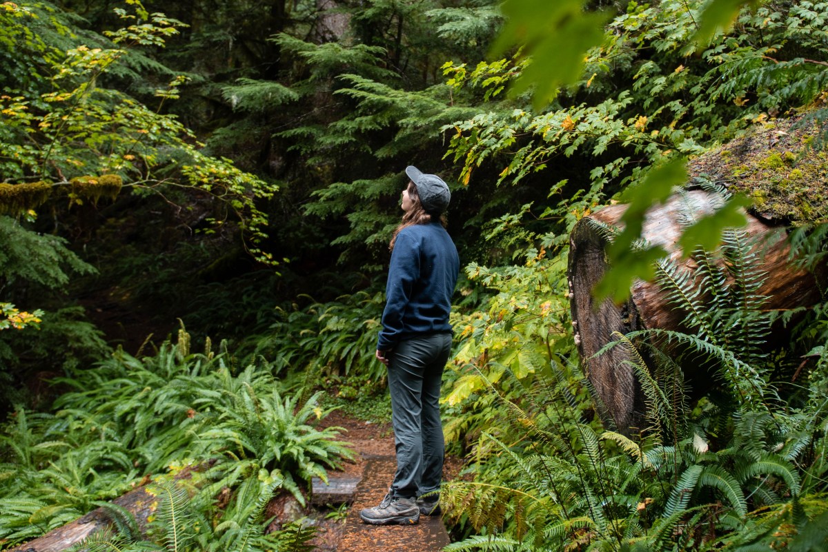 Girl in forest in Washington trail