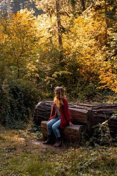 fall colors in hoyt arboretum