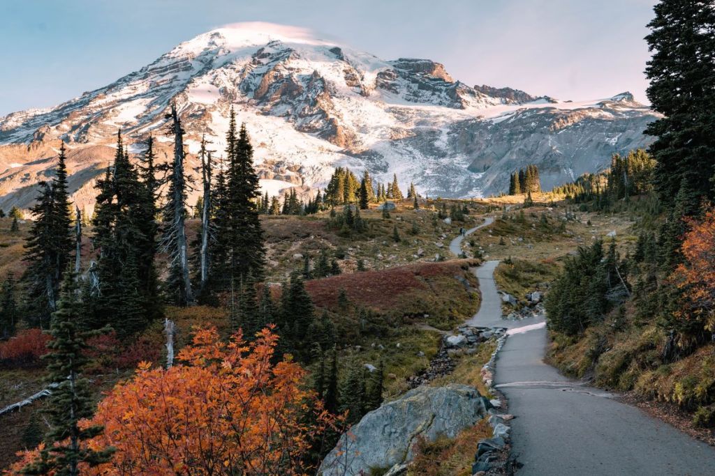 Skyline is filled with amazing views of Mount Rainier