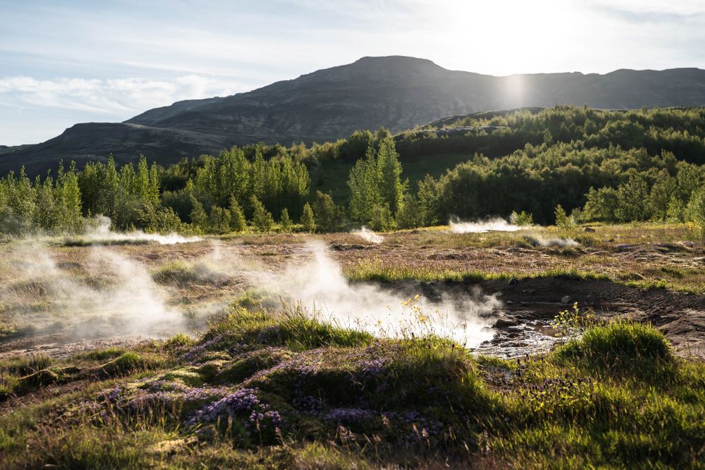 steam off of geothermal pools near Geysir in Iceland