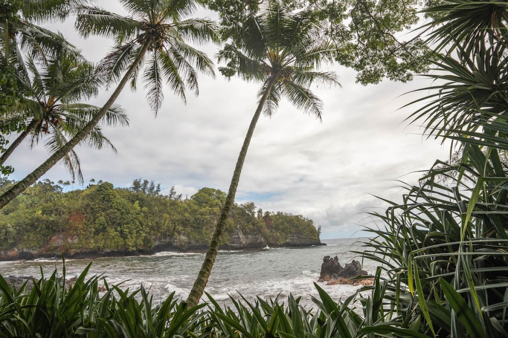 view of The Big Island from the Hawai'i Tropical Bioreserve and Garden