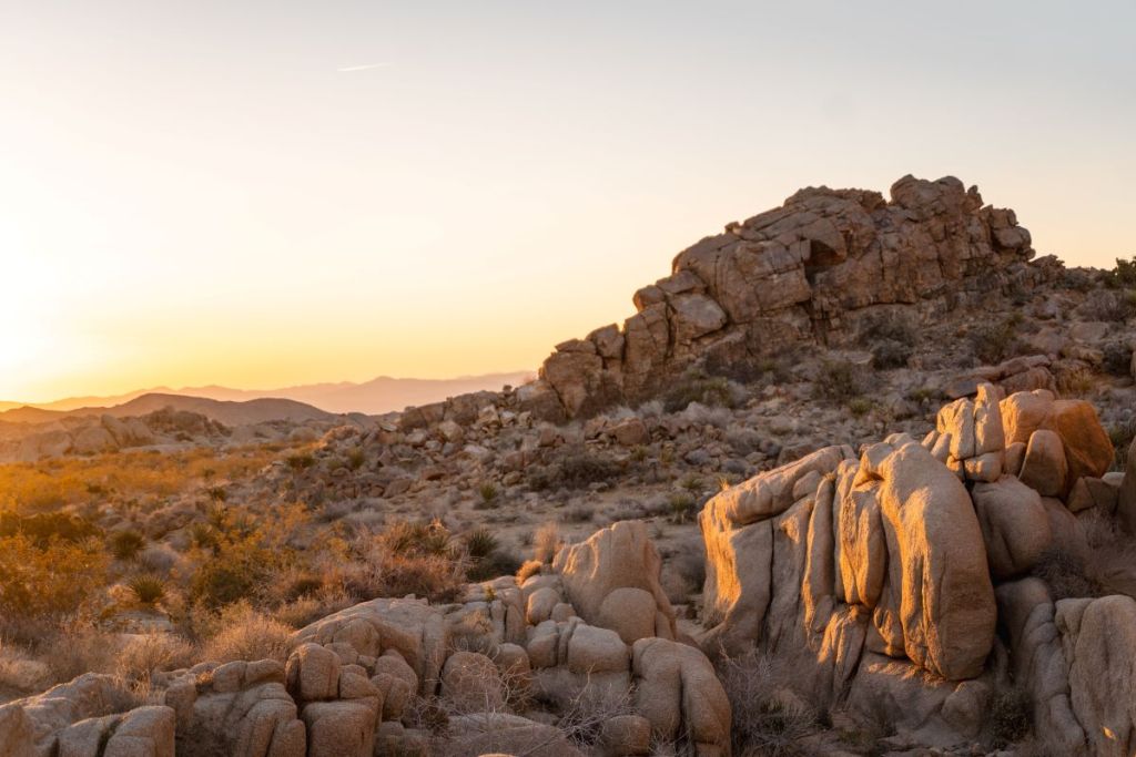 sunrise over rocks in joshua tree national park