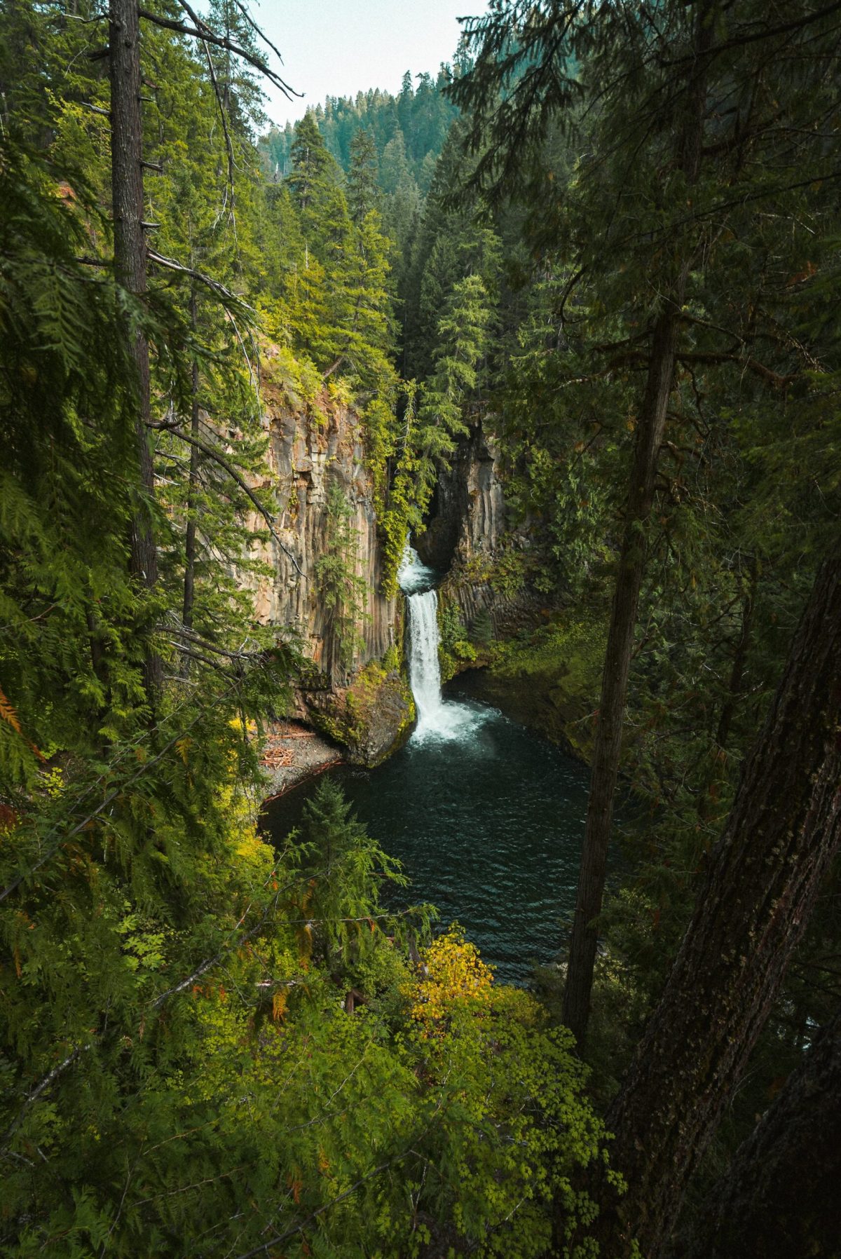 toketee falls in Oregon