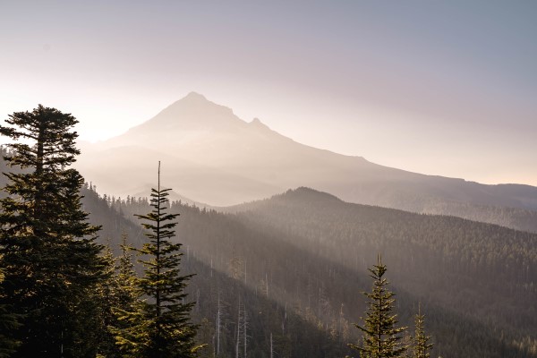 Mount hood at sunrise on Lolo Pass Trail in Mount Hood National Forest