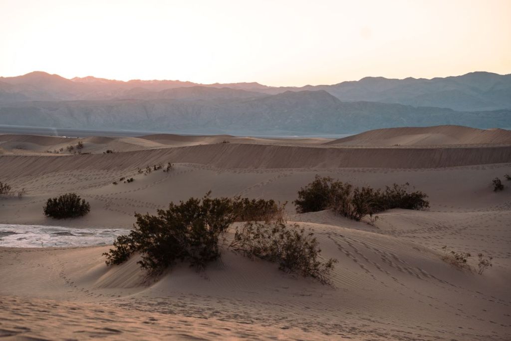 Mesquite Sand Dunes at sunset