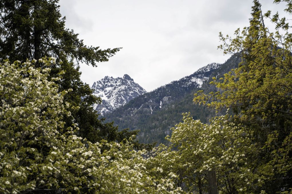 view from stehekin campground