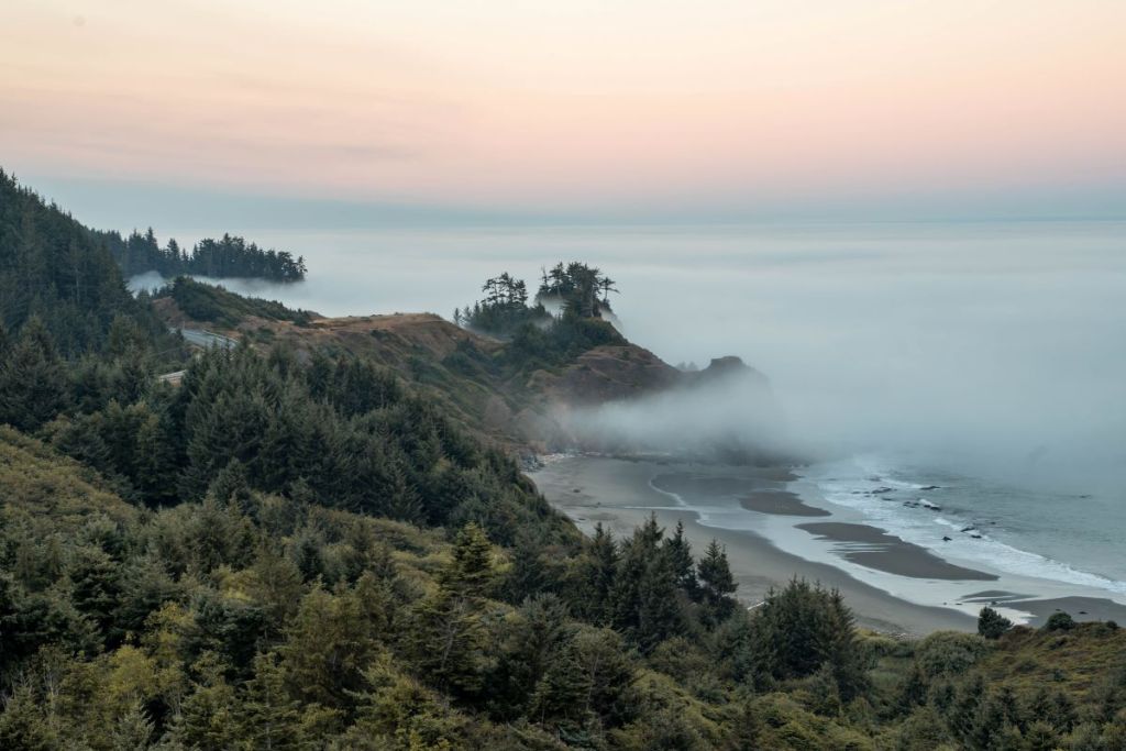 view down oregon coast on a road trip