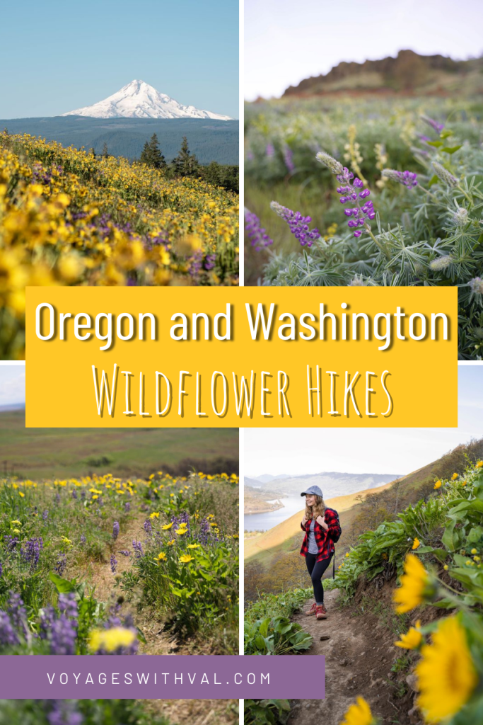 wildflower hikes in oregon