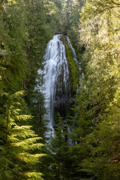 proxy falls in Willamette National Forest