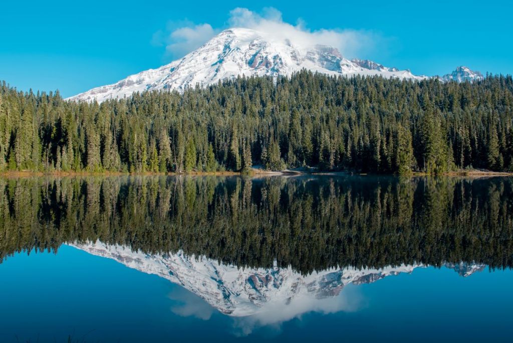 Reflection of Mount Rainier in Lake