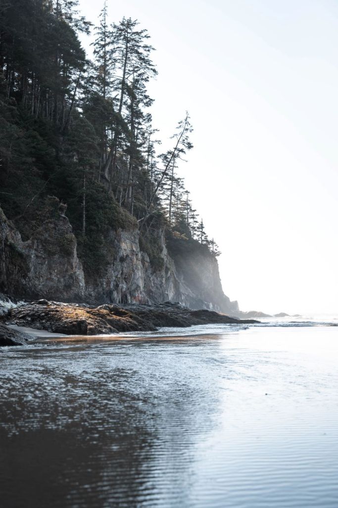 view of oregon coast from beach