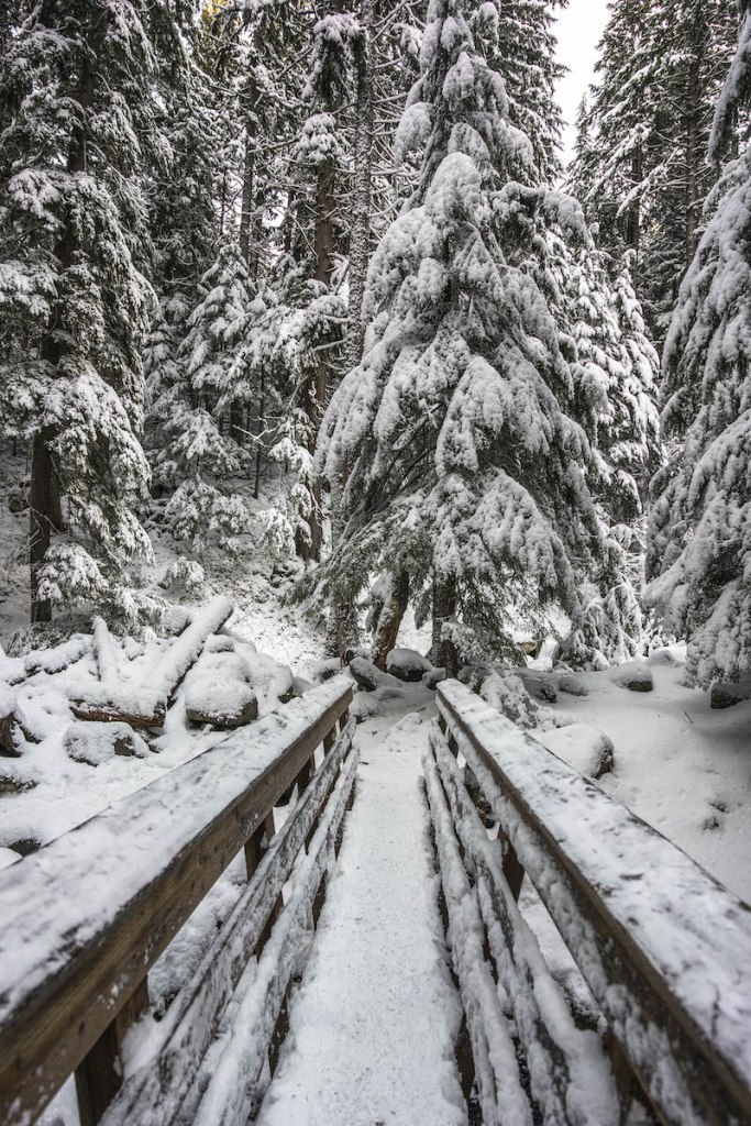 Bridge over North Fork Cold Spring Creek