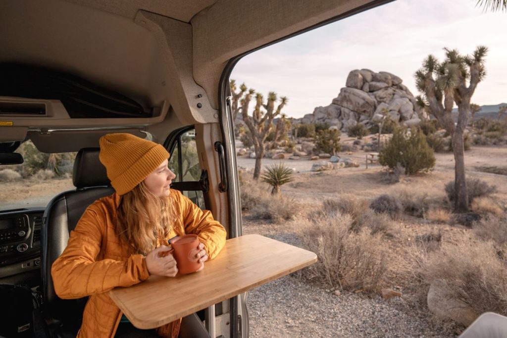 girl in campervan looking at joshua tree in campground